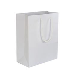NON-IMPRINTED WHITE Medium Paper Bag 8 W x 4 D x 10" H (100/box)